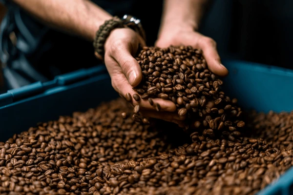 importancia del cafe blend peruano